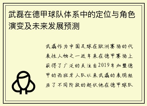 武磊在德甲球队体系中的定位与角色演变及未来发展预测